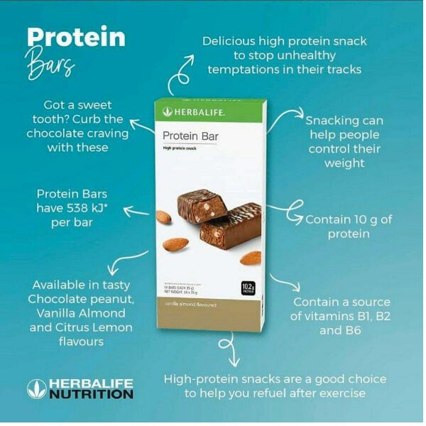 Protein Bars