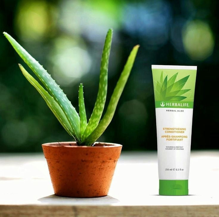 Herbal Aloe Strengthening Conditioner